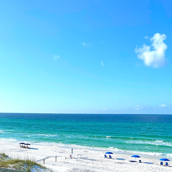 Meet your Posher, Britty - Picture 6 of 6